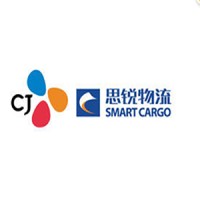 青岛思锐国际物流有限公司 Logo