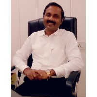 Divine Placement Services Logo