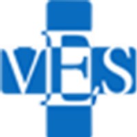 Vision Edge Services Logo