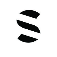 SALVE Logo