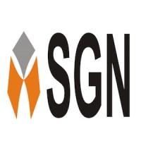 SGN IT Solutions Logo