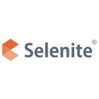 Selenite Business Solutions Pvt. Ltd. Logo