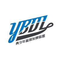YBDL BASKETBALL 青少年篮球发展联盟 Logo