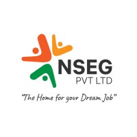 NSEG Pvt. Ltd. Logo