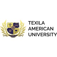 Texila e-Conference Logo
