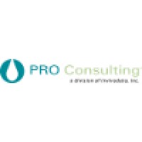PRO Consulting Logo