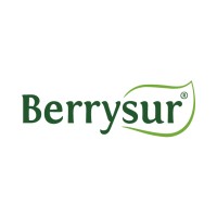 Berrysur Logo