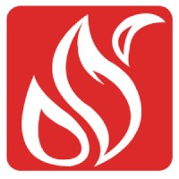 Big Flare Logo