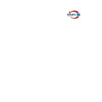 RAMPS International Inc Logo