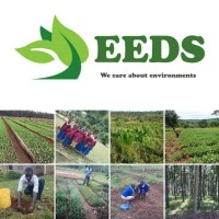 Environmental Health Ecology and Decentralized Sanitation (EEDS) Logo
