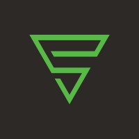 ELV Systems Logo