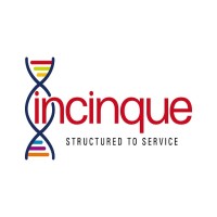 Incinque Business Solutions Pvt. Ltd. Logo
