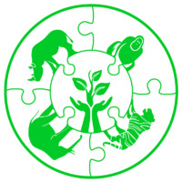 Belantara Foundation Logo