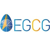 Enterprise Gamification Consulting Group Logo