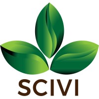 Scivi Travel Logo