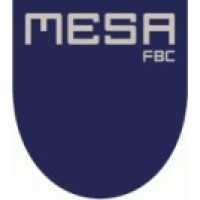 MESA family business consultants Logo