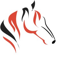 Digital Polo, Inc. Logo