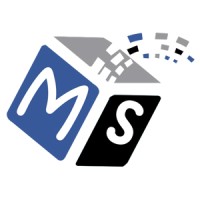 MicroSpark Software Solutions Private Limited Logo