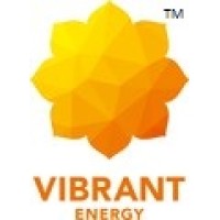 Vibrant Energy Logo