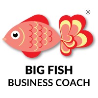 Big Fish Business Coach Logo
