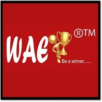 Winner Academy Of Excellence Logo