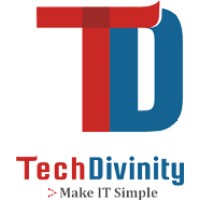 TechDivinity Logo