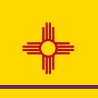 BS International Logo