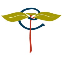 Twining Design Logo