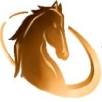 Stallion International HR Solutions Pvt Ltd Logo