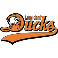 Long Island Ducks Baseball Logo