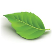 Etna Logo