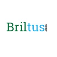 Briltus Services Logo