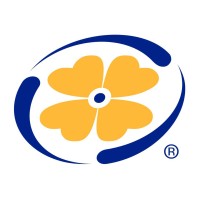 In-Situ Environmental Logo