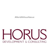 HORUS DEVELOPMENT & CONSULTING Logo