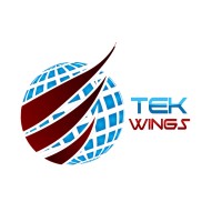 TEKWings LLC Logo