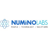 Numino Labs Private Limited Logo