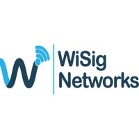 WiSig Networks Logo