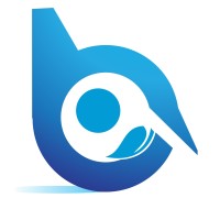 Banbros Consulting Private Limited Logo