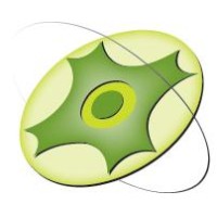 SpinOn AS Logo