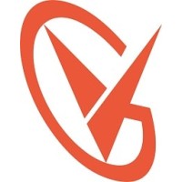 VigourSoft Global Solutions Logo