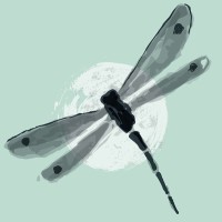 Dragonfly Education Group Logo