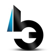 BIG FACTION CONSULTANCY PVT LTD Logo