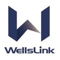 Wellslink Technology (Shanghai) Co.Ltd Logo