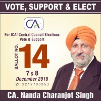 C J S Nanda & Associates Logo