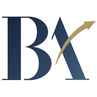 Bizness Analytics Inc. Logo