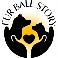 Fur Ball Story Logo