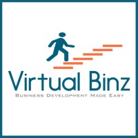 Virtual Binz Logo
