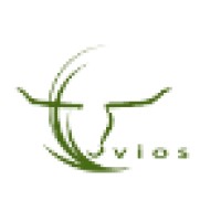 Vios Asset Management Logo