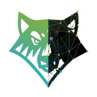 DigiWolves Pvt Ltd. Logo