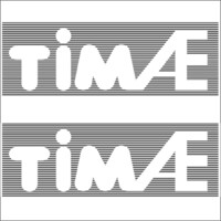 TIM AE ENGINEERING Logo